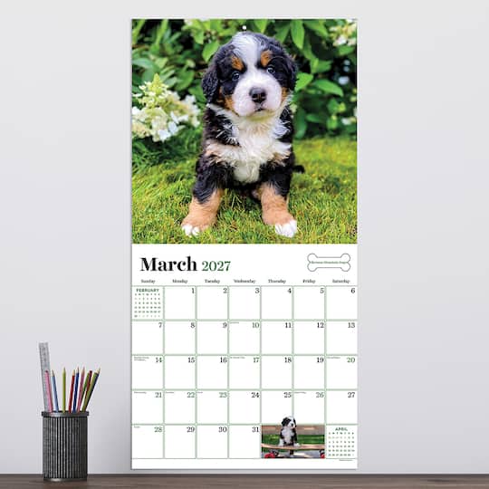 2027 Puppies Wall Calendar